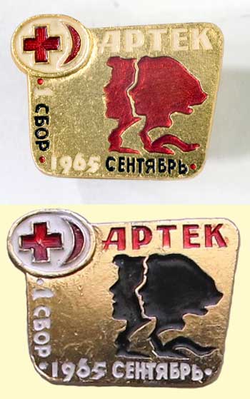 1 слет активистов школьных санпостов 1967 г.