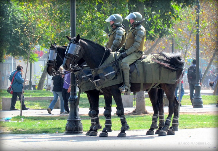 63b1d75eb3104e8d46d9594b94f9d05c