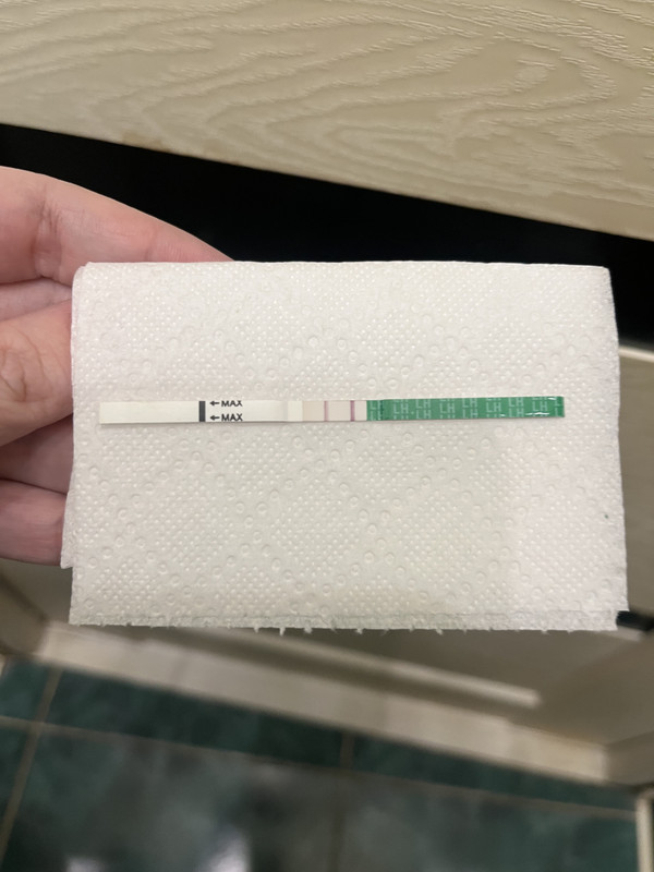 2D25FB01-075B-445C-9EFE-072EB57B21EC