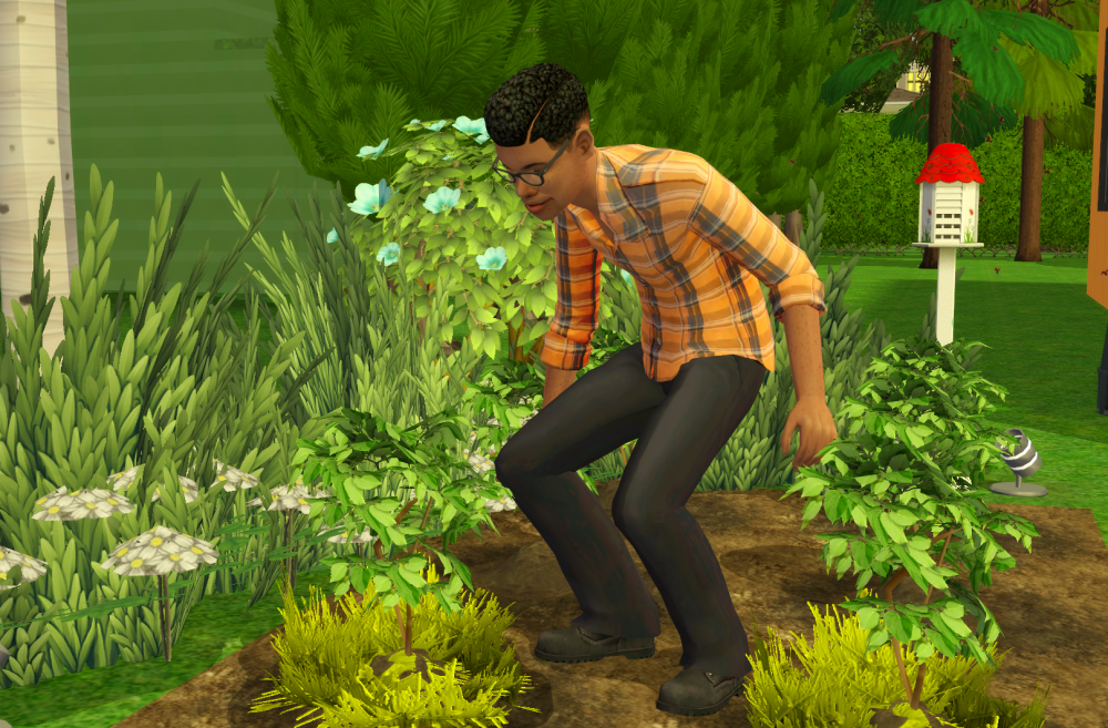 Sims2-EP9-RPC-2021-07-26-17-00-42-68