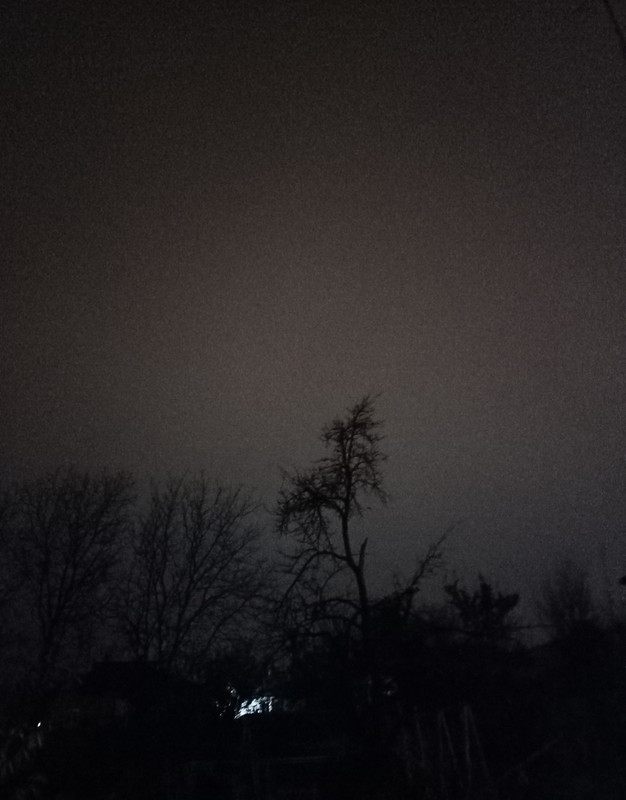 IMG-20211101-233012.jpg
