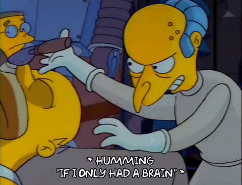 giphy-1.gif
