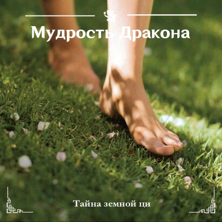 [Изображение: photo-2025-07-28-08-11-23.jpg]
