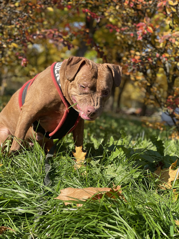 34579CFF-4A5F-4A16-A77E-54BDA8EA5BD0