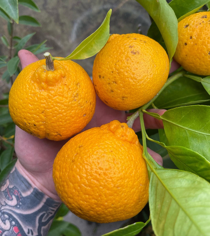 62716213-ED7A-4A78-8D93-BCCEBED64237