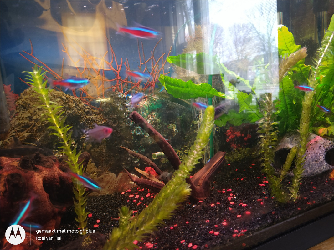 IMG_20201119_112434260