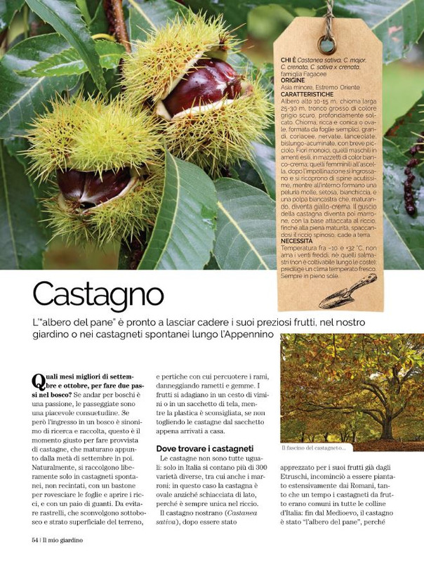 Il Mio Giar Set-Ott 2021 (3)