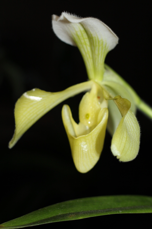 87D877B1-5771-46CC-A432-7AF17130E0B9