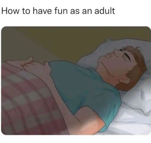 how-to-have-fun-as-an-adult-meme.jpg