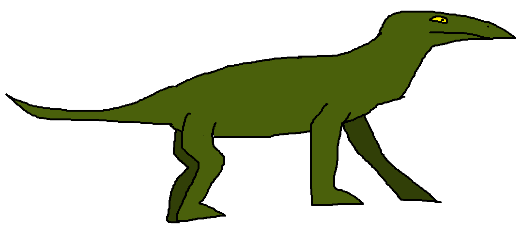 Сухопутная большая ящерица