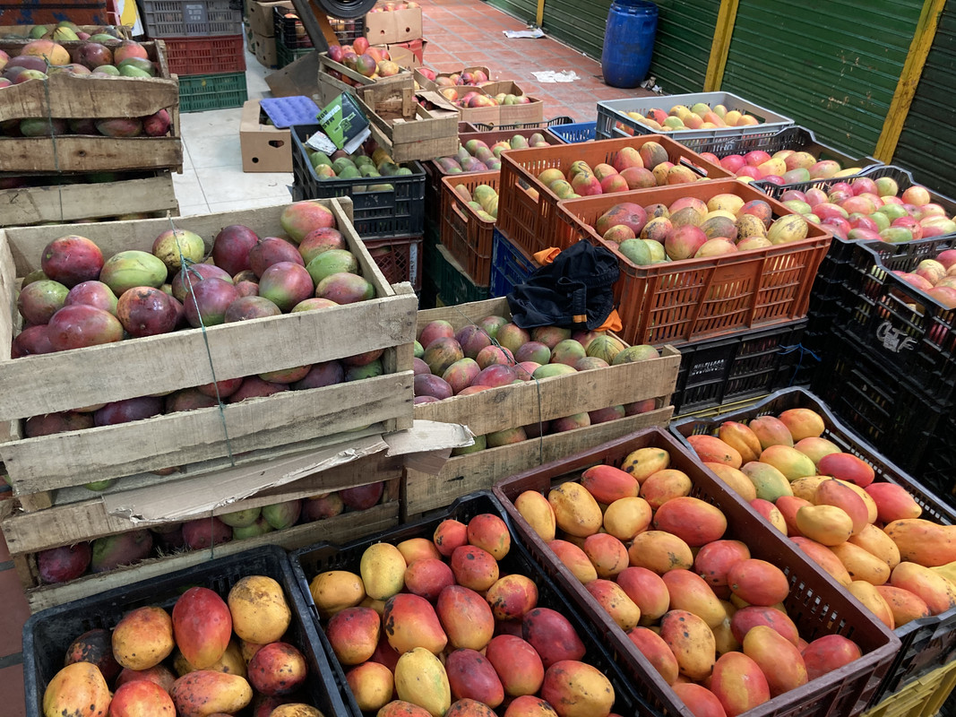 D2AB0EAB-B5FD-4654-80CE-7E7B869E5C95