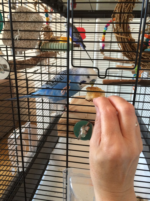 8EB4DD50-5A38-439A-84FB-EEBAAFCEAF14