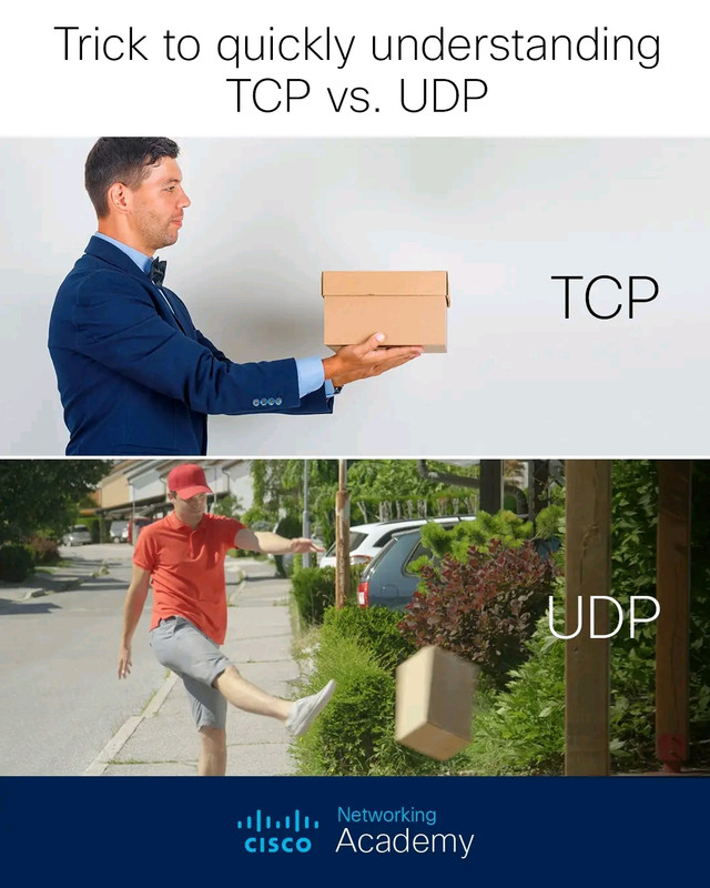 1702166542776.jpg