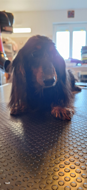 [Image: 20250305-170335.jpg]