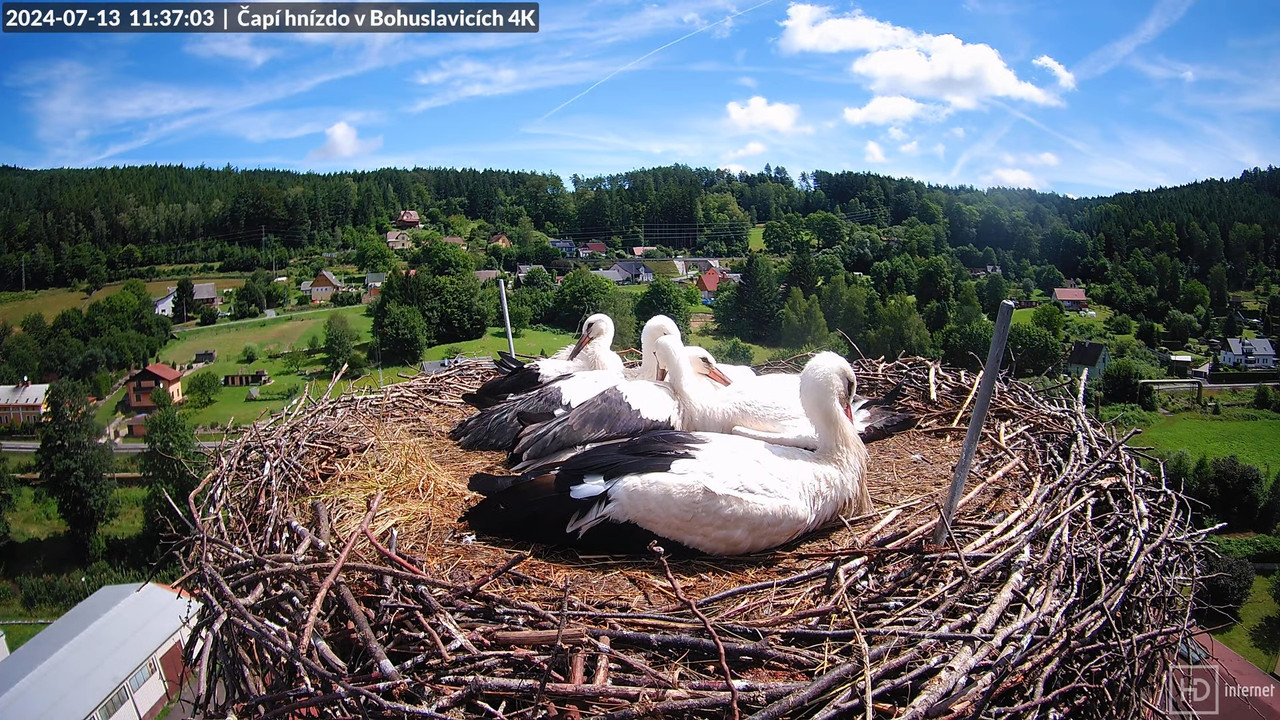 Tiešraidē no uzņēmuma KARA stārķa skursteņa Bohuslavicē pie Trutnovas 16-37-38 screenshot