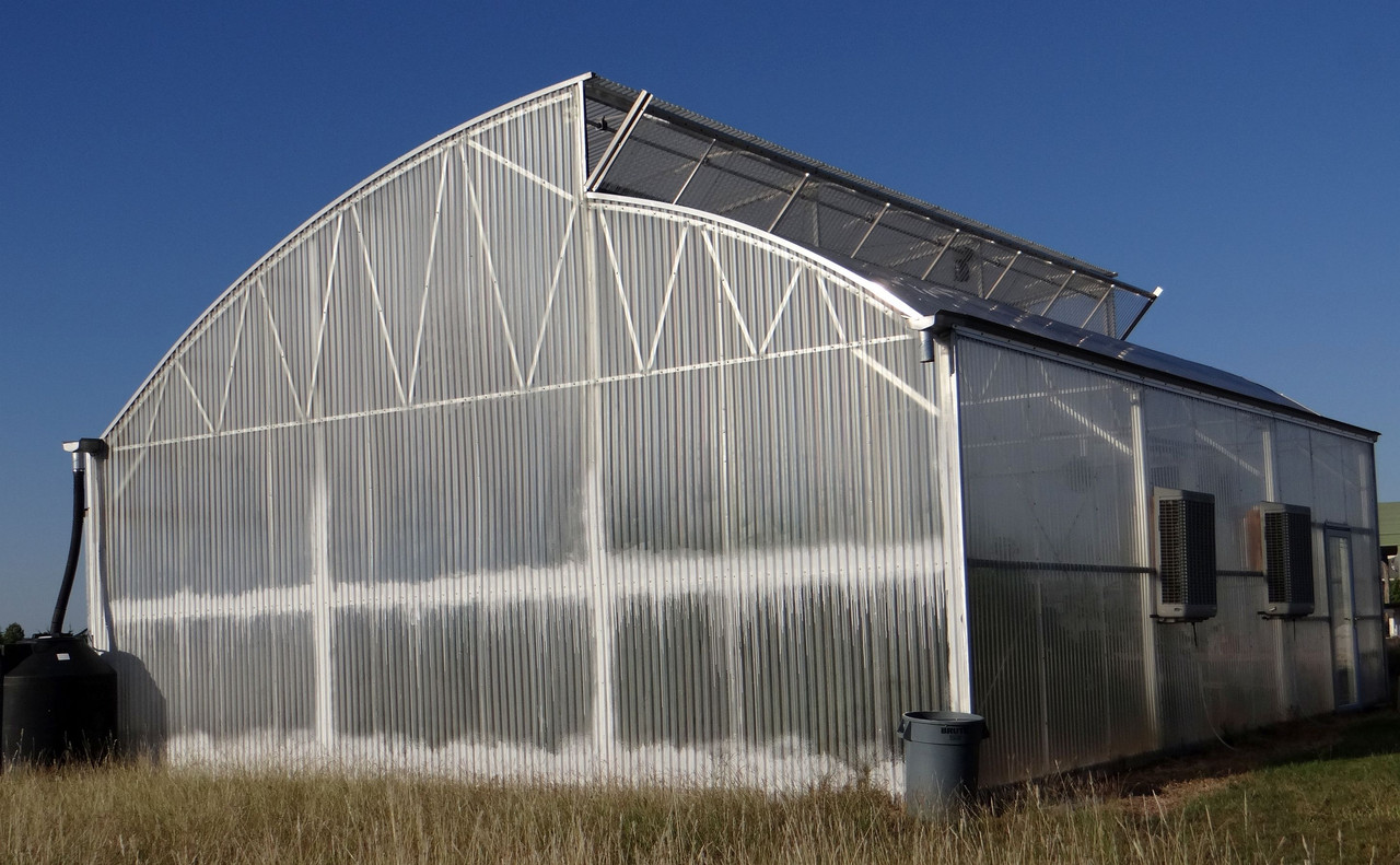 Greenhouse#2