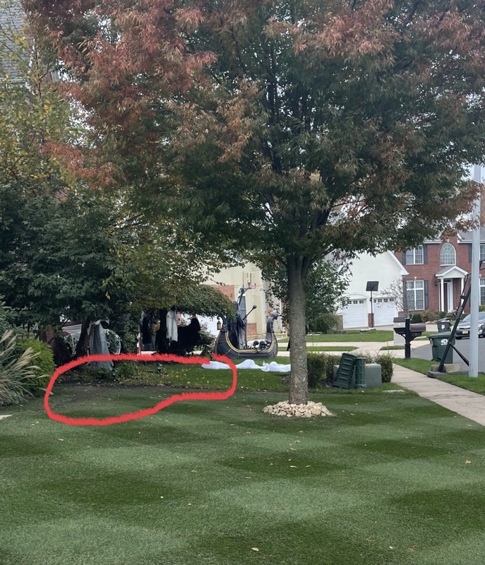 2616ACD7-5E68-4745-927D-8A89C17430FC