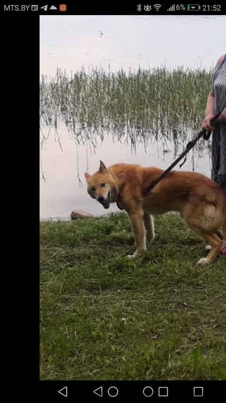 изображение_viber_2020-06-10_21-53-38