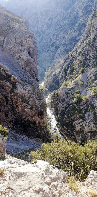 ESCAPADA POR ASTURIAS ORIENTAL - Blogs de España - RUTA DEL CARES-ARENAS DE CABRALES Viernes 11 de Septiembre (4)