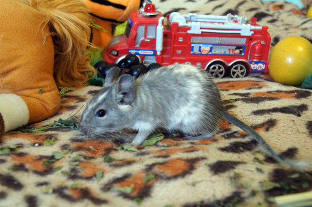 DSC02023