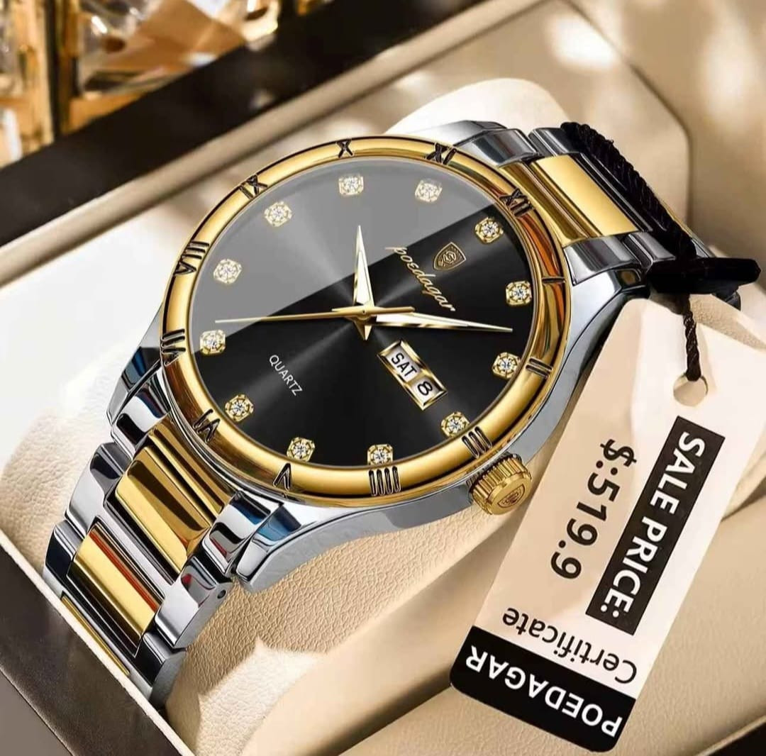 Poedagar Luxury Quartz Wrist Watch for Men