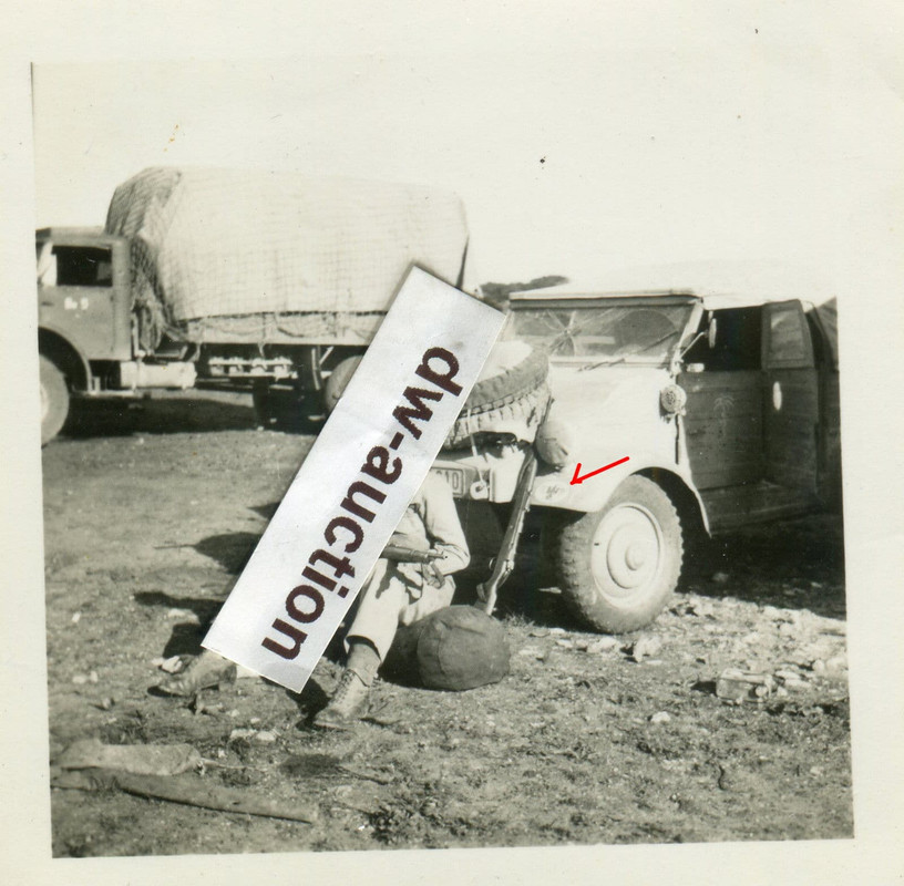 DAK Afrika Afrikakorps , VW Kübelwagen mit Wappe