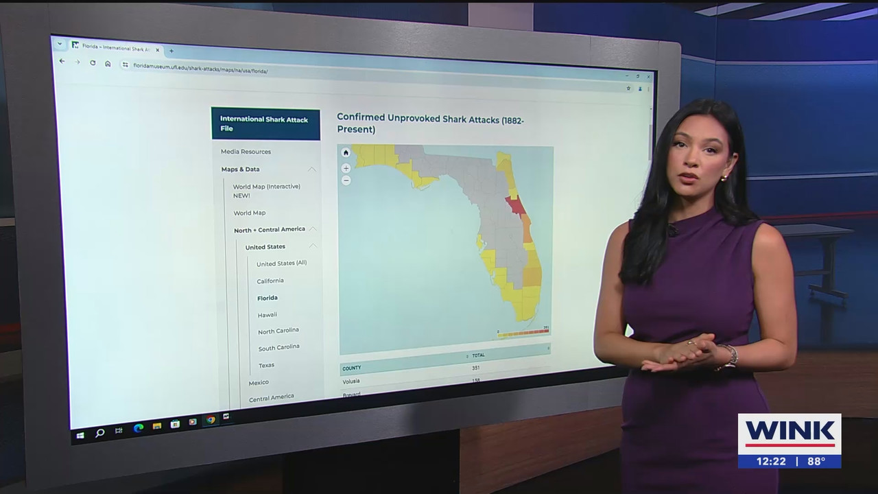06.10 - 17.00.00 - The WINK Noon News  ᴺᵉʷ. Midday news update..ts_snapshot_28.37.100