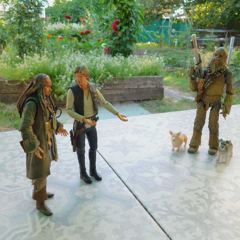 Дачно-Харлинский июнь-июль 2024 186