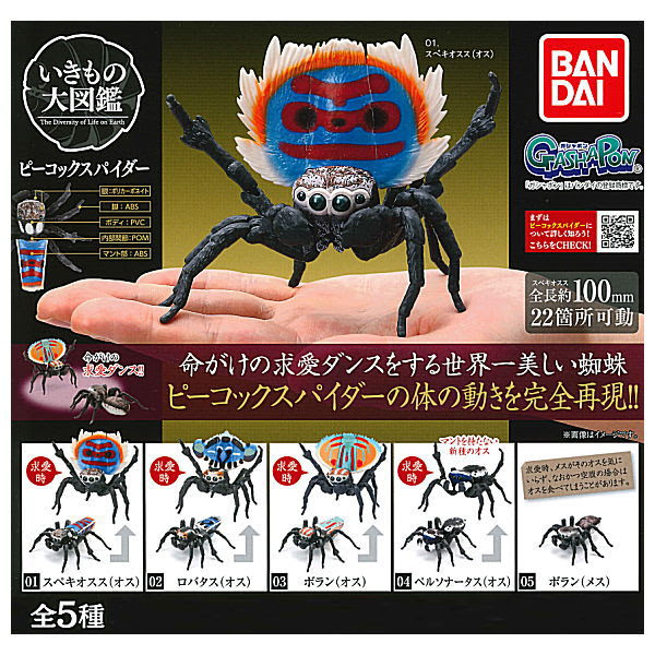 STS 2021 Figure of the Year: Terrestrial Invertebrates Bandai-Spiders-release