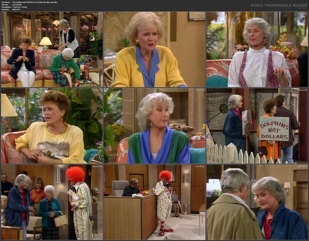 The Golden Girls S05E05 Love Under the Big Top.mkv