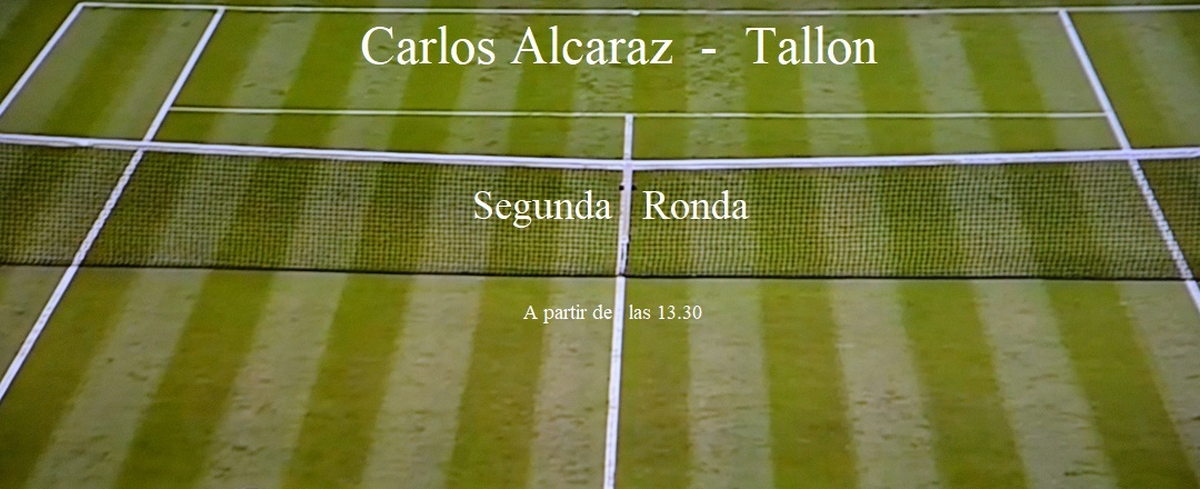 El mundo del Tenis - Página 5 Carlos-Alcaraz-Tallon