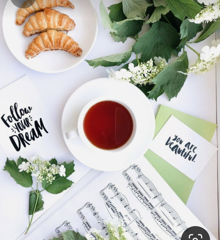 Screenshot_20230330_232557_Pinterest