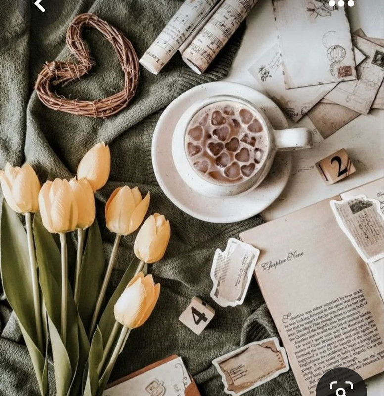 Screenshot_20230426_222112_Pinterest