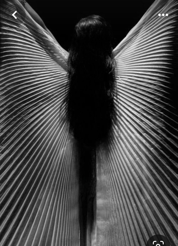 Screenshot_20240330_211425_Pinterest