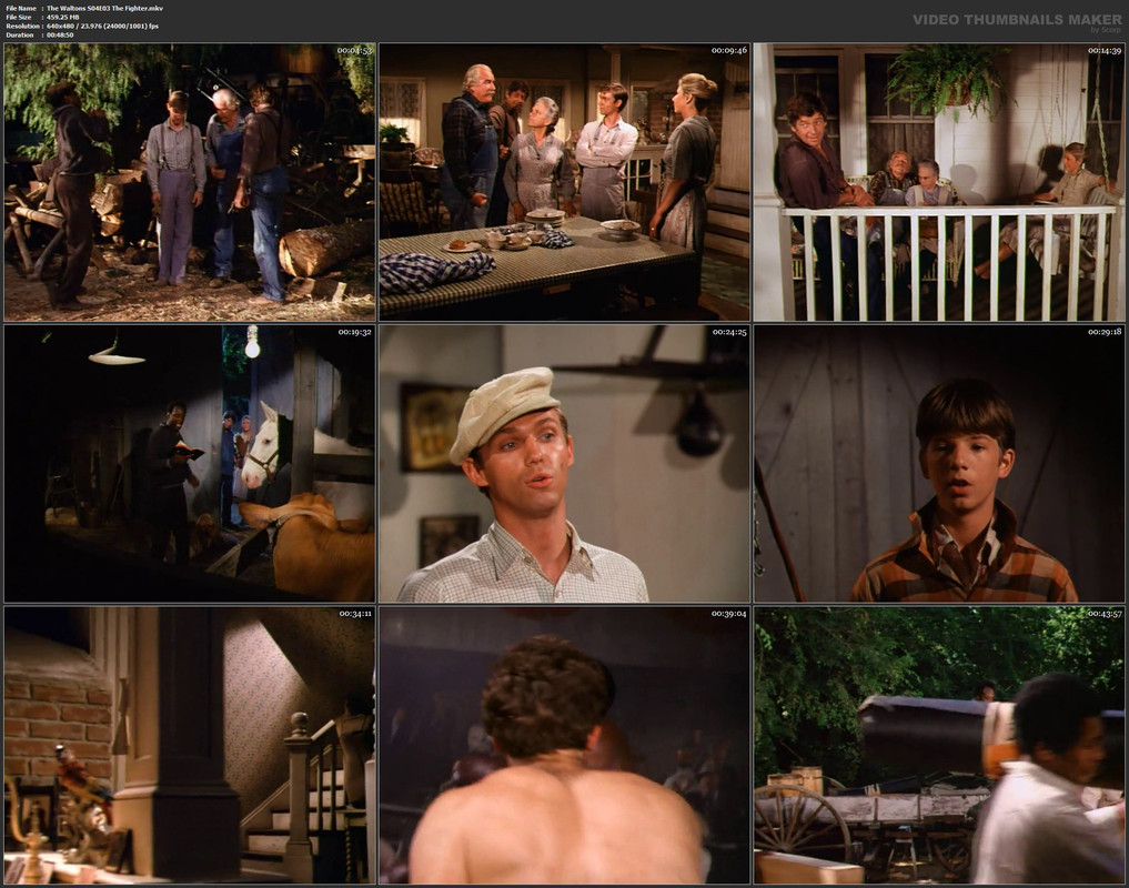 The Waltons S04E03 The Fighter.mkv