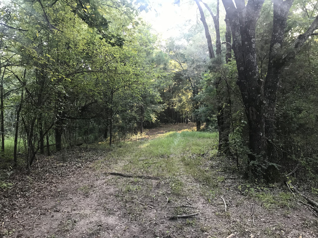 [Image: 6-C63-D29-C-4435-4365-A0-EA-288-B8-E4-D3247.jpg]