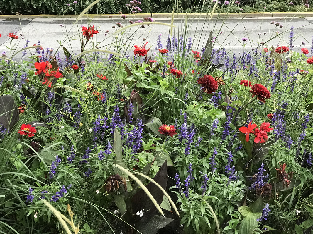 494CC7A9-D3FC-4CAB-912C-785BD9AADABF