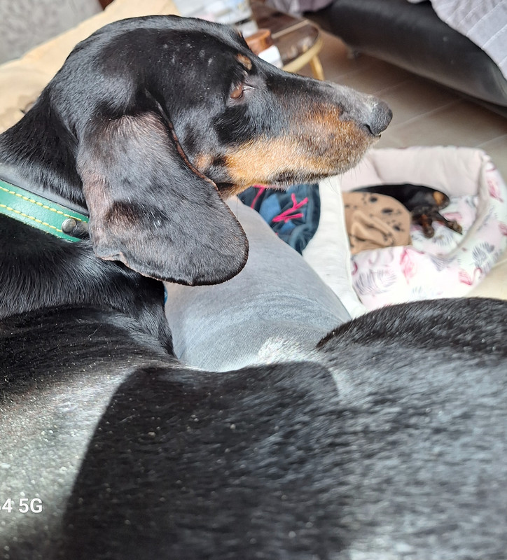 [Image: 20240914-133801.jpg]