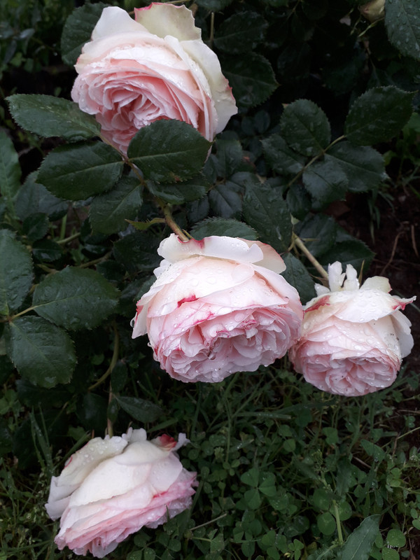 20190524_092339