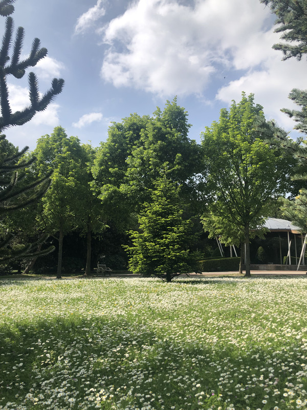 C64129F4-B3D1-4E40-BC57-A379DBFFDCB3