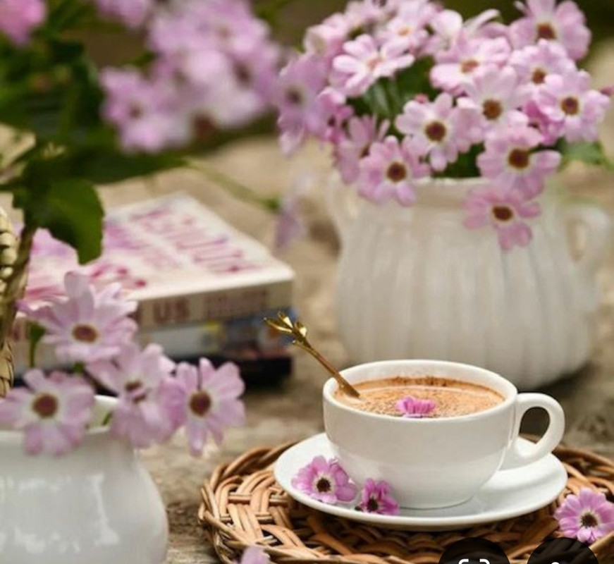 Screenshot_20240715_141635_Pinterest