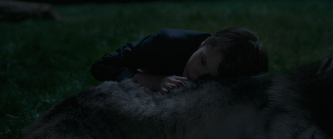 Wolfkin.2022.FRENCH.1080p.WEB-DL.H264-Slay3R.Wawacity_01_18_48_00_472