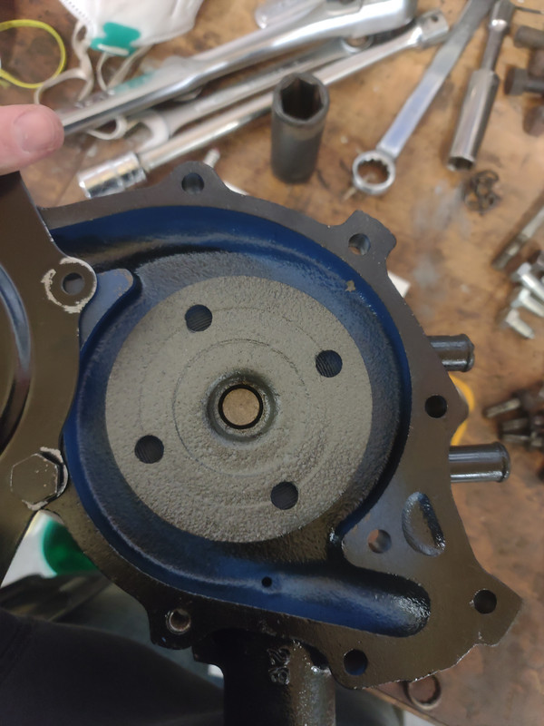 IMG_20241114_175319321