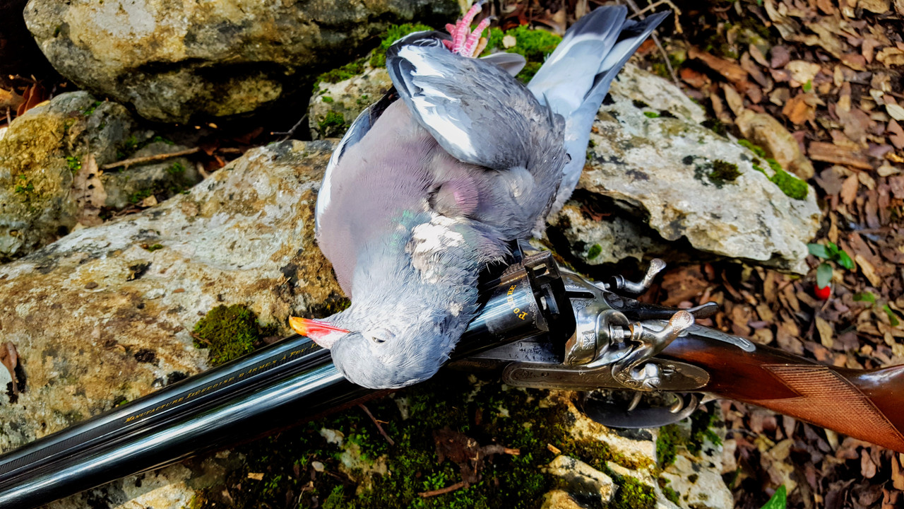 D741EC2A-F0CE-4FF6-BAC9-6BCE6F1339DA