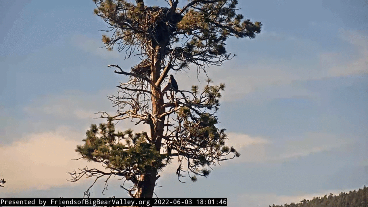 Webp.net-gifmaker (1)