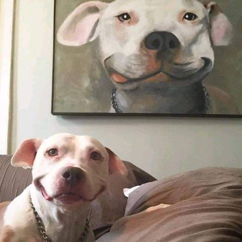Painting-of-Dog