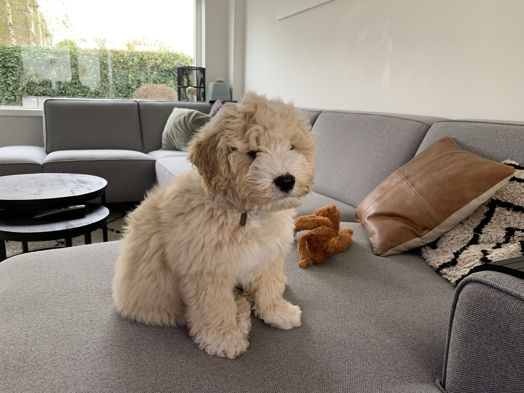 9DF8C795-0586-4696-A922-621E26793391