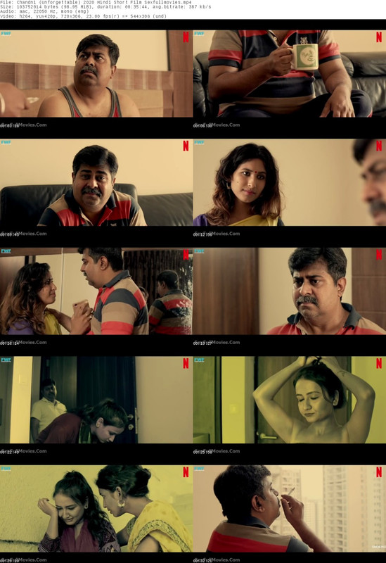 Chandni (Unforgettable) 2020 Hindi Short Film - SEXFULLMOVIES.COM