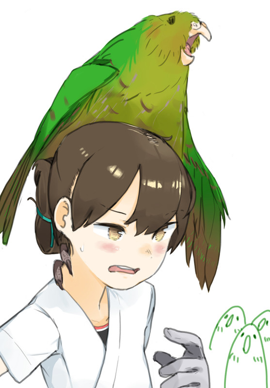 kasuga-maru-kantai-collection-drawn-by-co-botan-72901ab8d07f