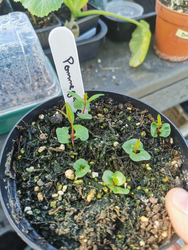 WhatsApp Image 2021-05-23 at 10.35.57 (6)